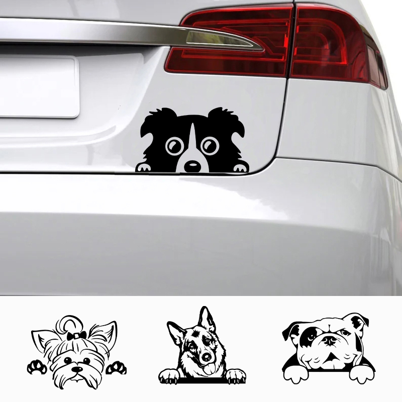 Apple Accessories Laptop - Araba Aksesuar Çıkartmaları Komik Köpek Adı